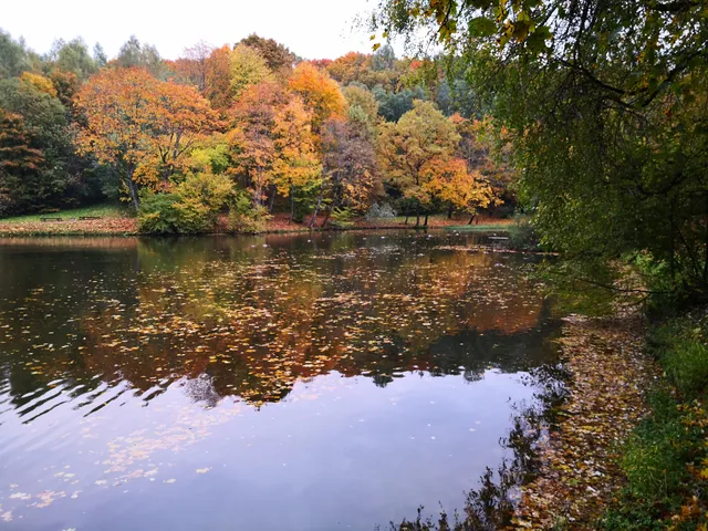 Markučiai Park