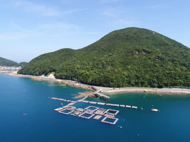 Yura Sea Fishing Park