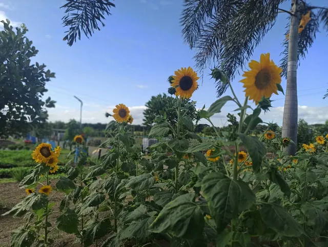 Liwasang Pangkalikasan ng Marilao