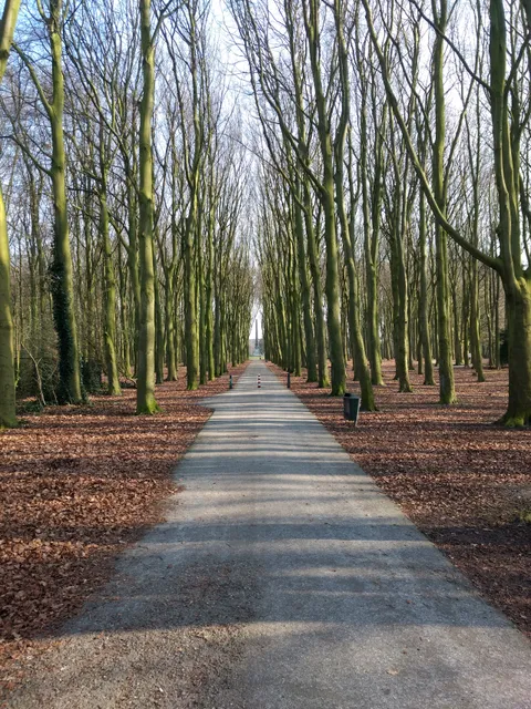 Rijswijk Forest