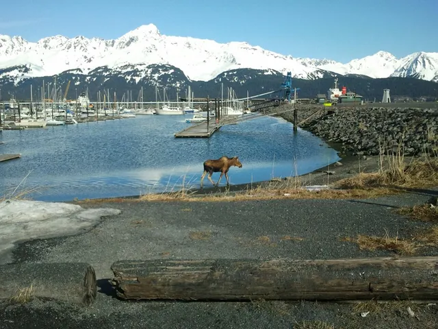 Northern Latitude Adventures