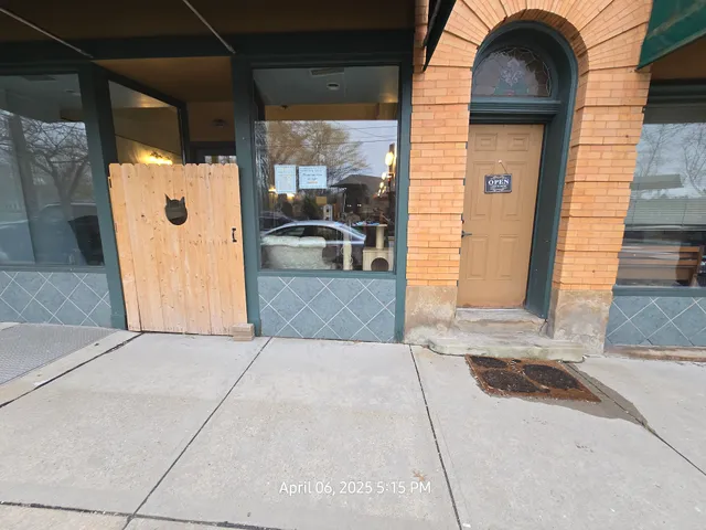 Rescue and Relax: a Pittsburgh cat lounge