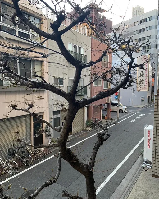 櫻旅館 浅草入谷