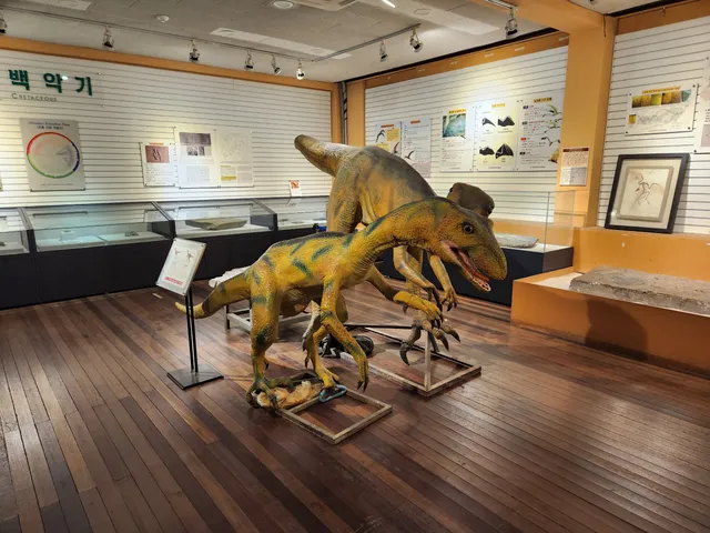 Natural History Museum, Kyungpook National University