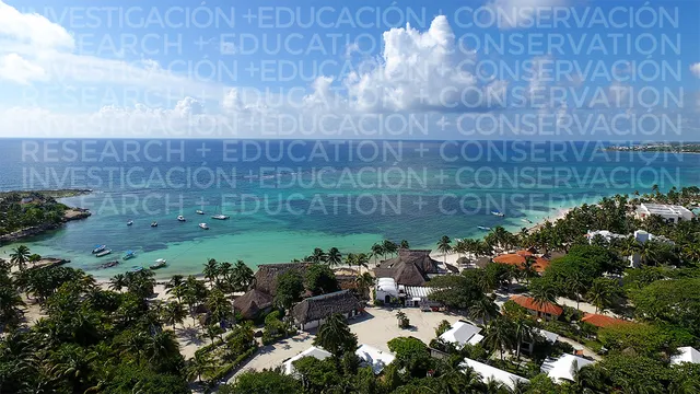 Centro Ecológico Akumal