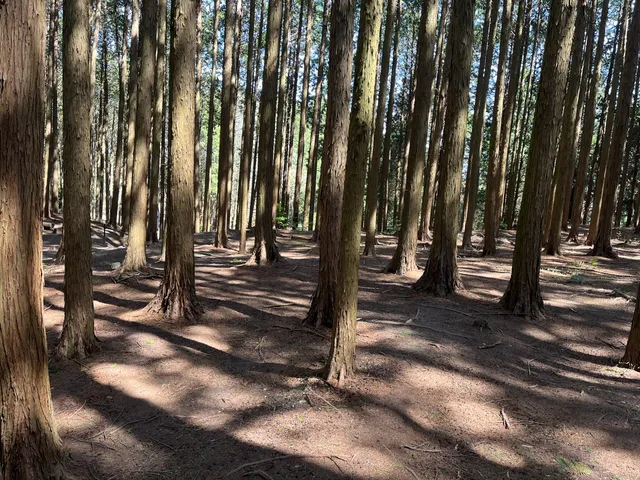 Ruins of the seat of Matsunaga clan