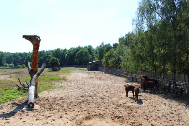 Wisentreservat Damerower Werder