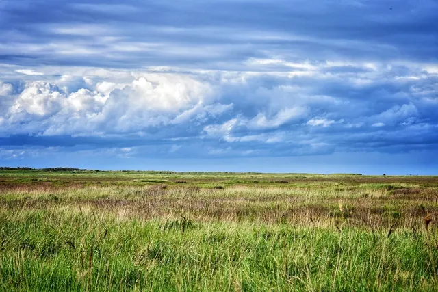Rimac Nature Reserve