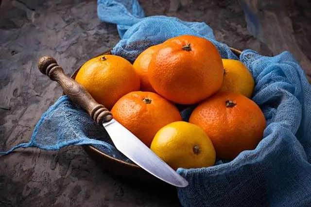 Hidee Gold Mine Tours and Panning