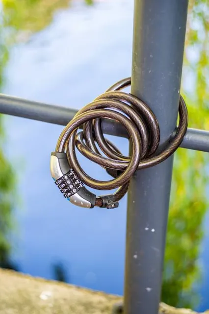 Costanera de Campana