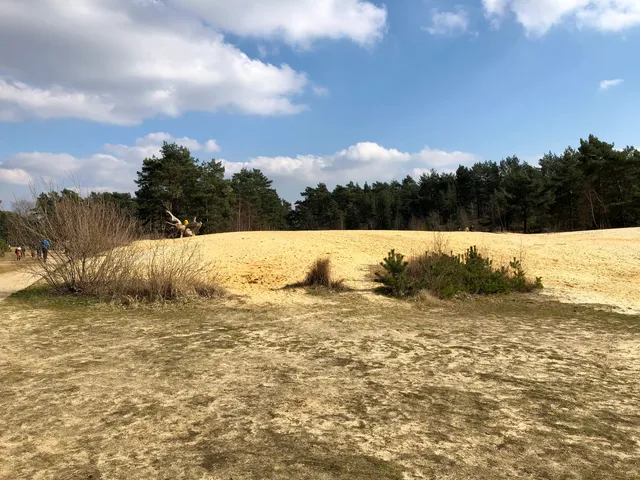 Zandloperpad Mechelse Heide