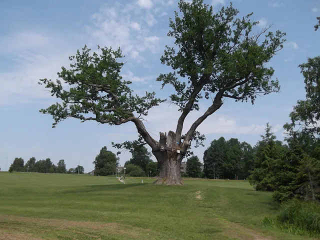 Pühajärven sotammi