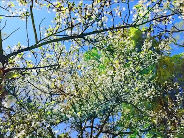 photo-1