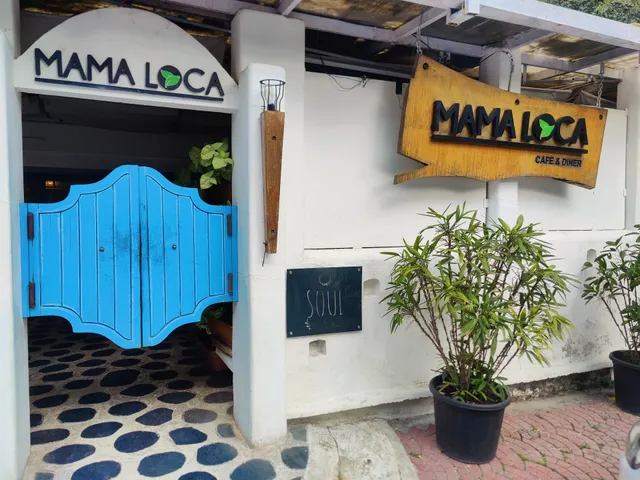 MAMALOCA (New Palasia)