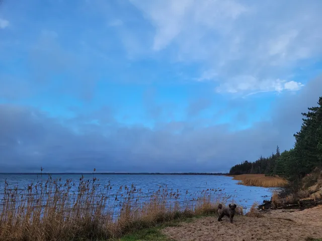 Côte escarpée sur la Schlei