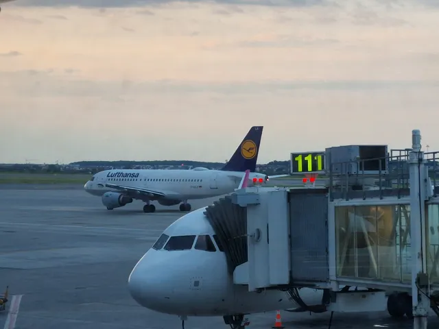 Art Safari Airport Museum