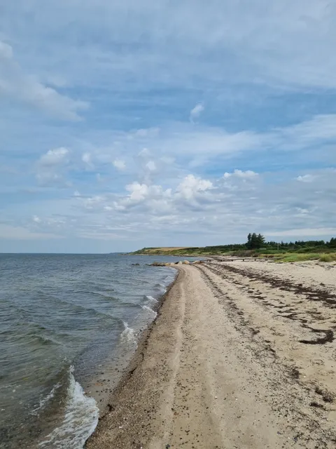 Ejsingholm Strand