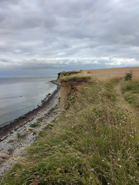 Sankt Alberts church