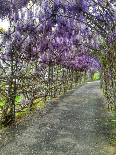 Park of Mediterranean Biodiversity