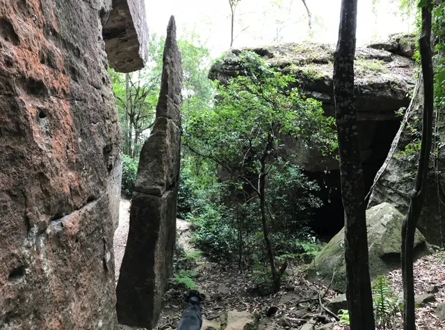 The Grotto Nowra