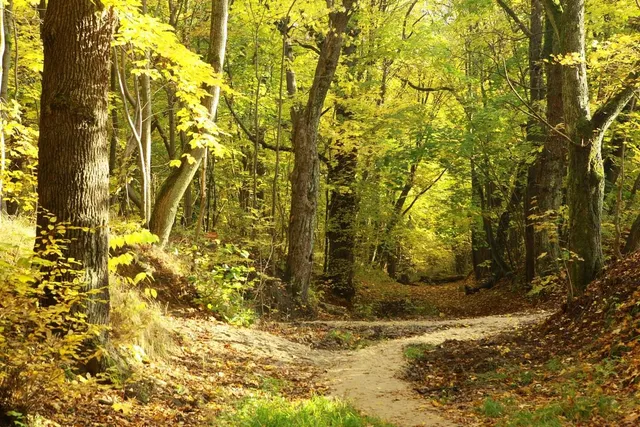 Суздальский парк