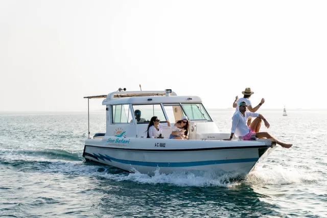 SEA SAFARI CRUISES