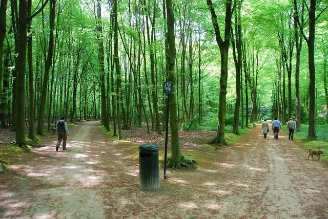 Bois de la Cambre