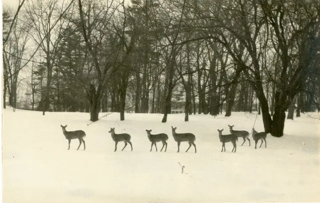 Cumberland County Historical Society