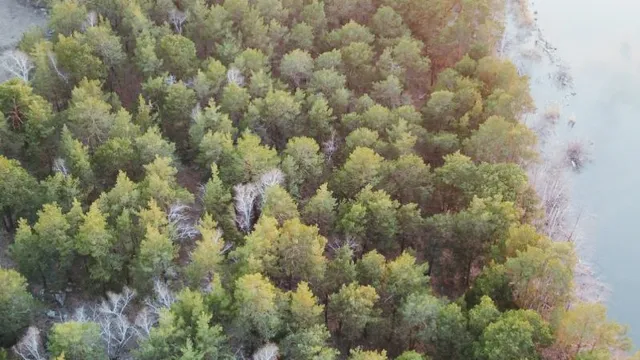 Imantau, Baza Otdykha