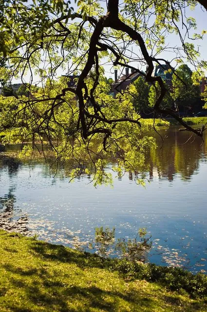 The Park Playground VR Amsterdam