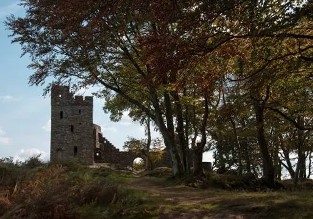 Plas Brondanw Gardens