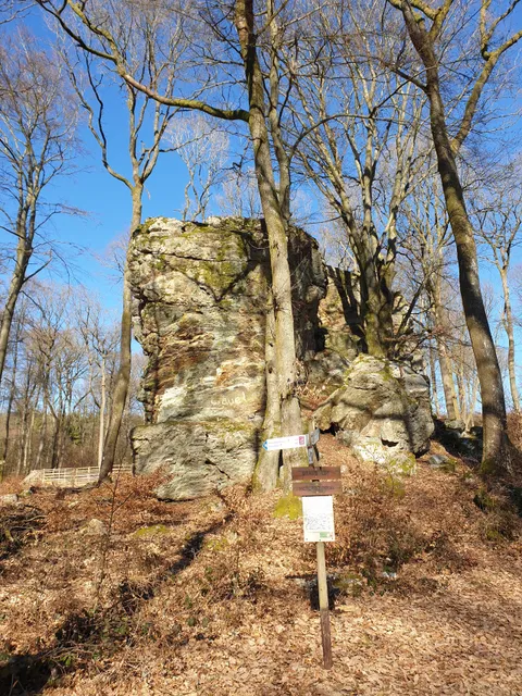 Traumschleife Jakob-Maria-Mierscheid-Weg