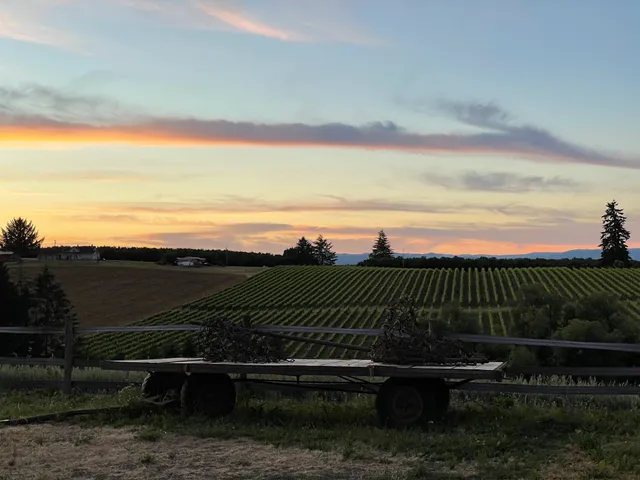 Sidereus Vineyard & Winery