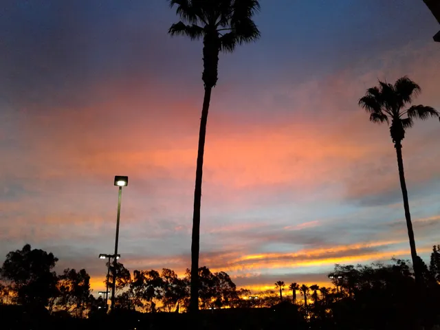 Carlsbad Library & Arts Foundation