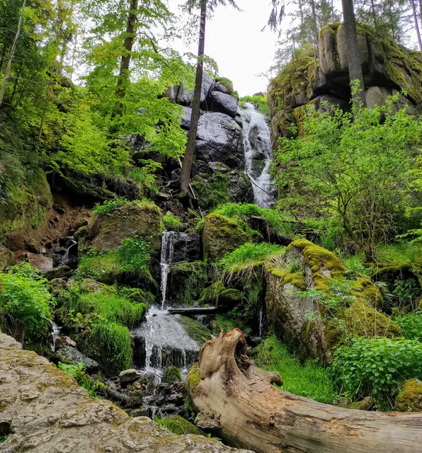 Auersbergkönig - Startpunkt der Wanderroute