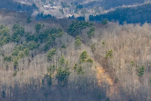 Bear Hill Nature Preserve