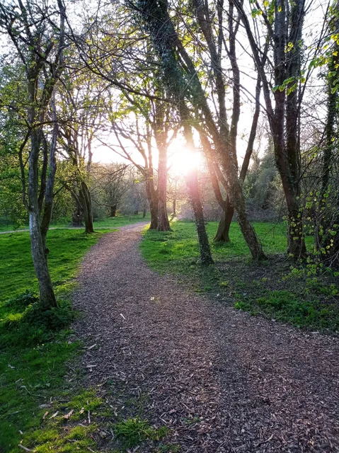 Clyne Valley Country Park