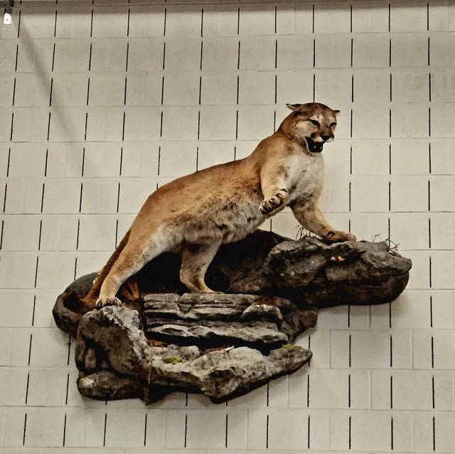 The Smithsonian's Museum Conservation Institute