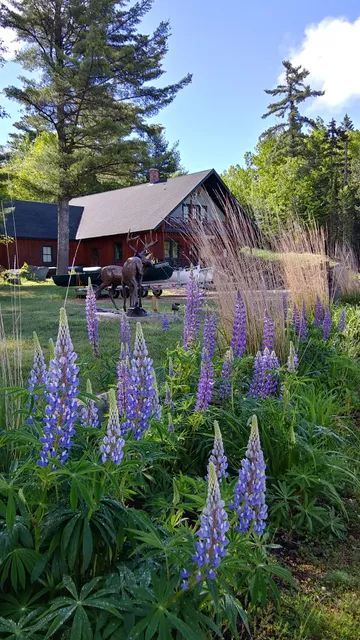 Outdoor Heritage Museum