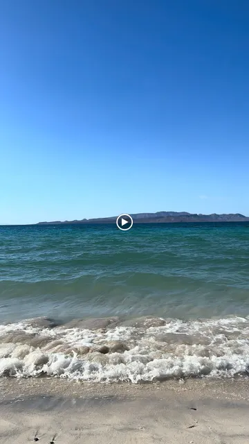 Restaurante Bar La Concha