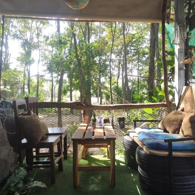 Little Forest SamChuk