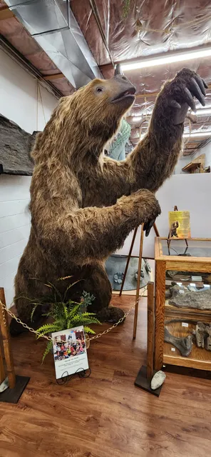 Firelands Historical Society