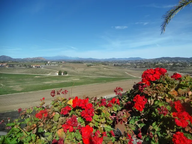 Bella Vista Winery at Cilurzo Vineyards