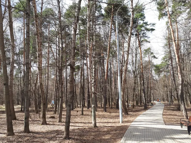 Bol'shaya Vsekhsvyatskaya Roshcha