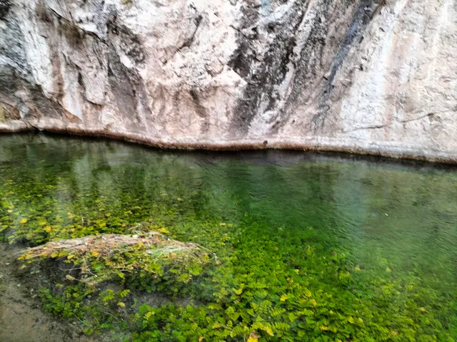photo-1