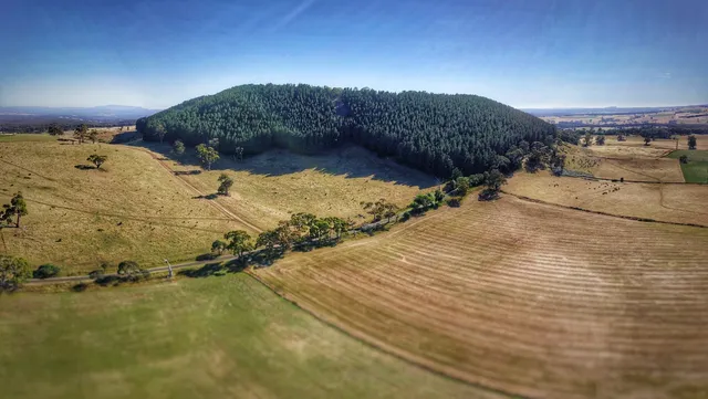 Mount Franklin Reserve