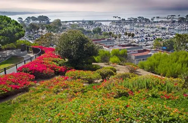 Doris Walker Overlook