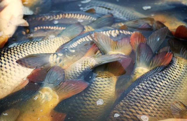 Bioparque Los Ocarros