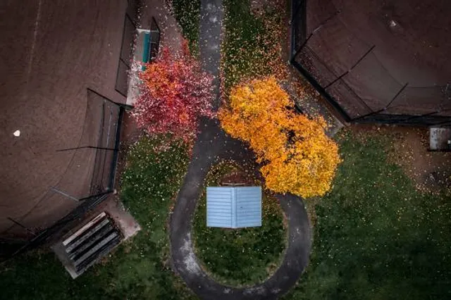 Rotary Park