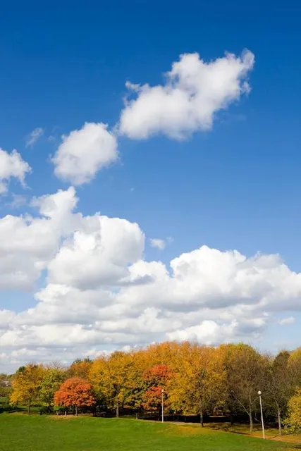 Warren (Laurence) Park